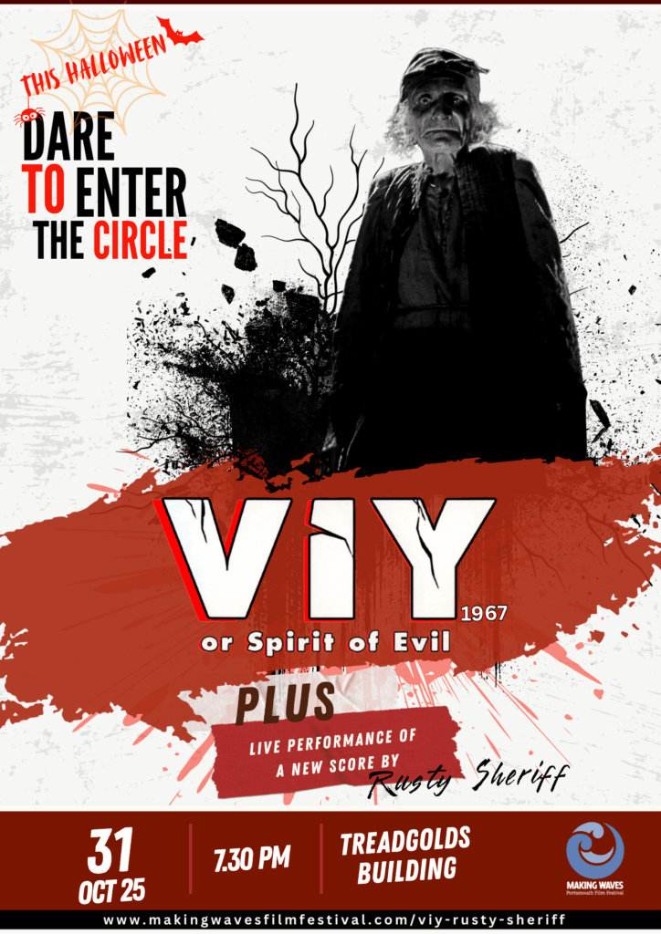 VIY poster